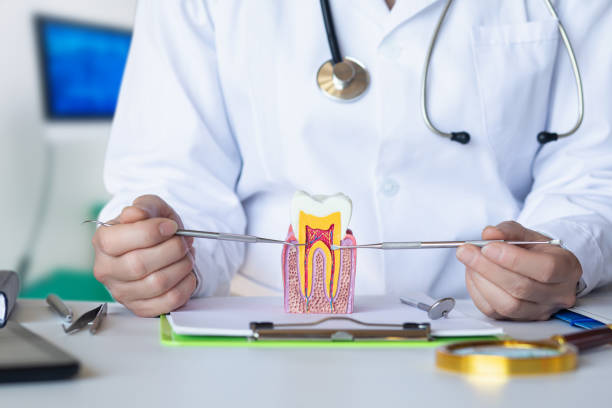 Best Emergency Dental Services for Seniors in Greenwood Lake, NY